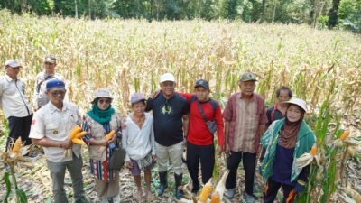 Bupati Luwu Dorong Petani Optimalkan Lahan dengan Komoditas Unggulan