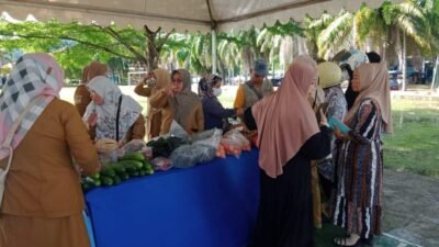 Pekan Depan Dinas Ketapang Sulbar Gelar GPM ke Wilayah Pinggiran Kota