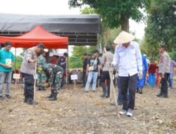Luwu Ikut Gerakan Nasional Tanam Jagung Serentak, Dukung Swasembada